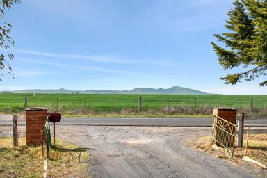 Cropping For Sale - VIC - Anakie - 3213 - "Green Fields"  (Image 2)