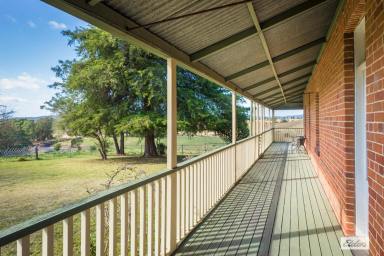 Mixed Farming For Sale - NSW - Buckajo - 2550 - SPRINGVALE HOUSE - Farm Close To Bega  (Image 2)