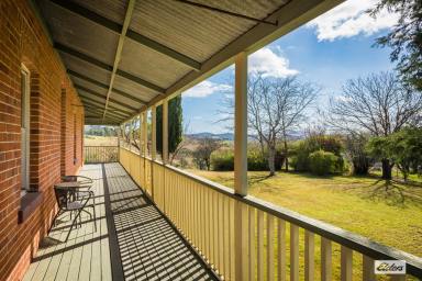 Mixed Farming For Sale - NSW - Buckajo - 2550 - SPRINGVALE HOUSE - Farm Close To Bega  (Image 2)