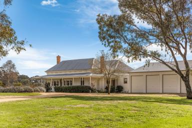 Lifestyle For Sale - VIC - Avoca - 3467 - "Mackereth's Hedon Farm" c.1865 - Home to Pioneer Pyrenees Wine Maker  (Image 2)