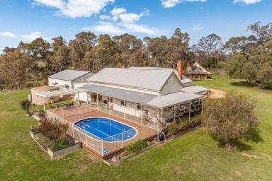 House For Sale - VIC - Avoca - 3467 - "Mackereth's Hedon Farm" c.1865 - Home to Pioneer Pyrenees Wine Maker  (Image 2)