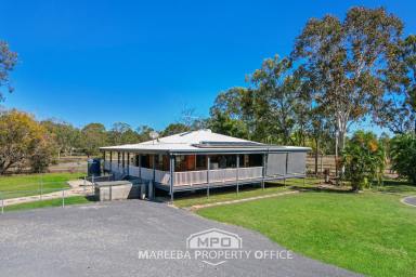 Acreage/Semi-rural For Sale - QLD - Mareeba - 4880 - 2 HA HAVEN, TIMBER HOME, SET UP FOR HORSES  (Image 2)