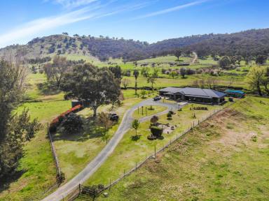 House For Sale - NSW - Adelong - 2729 - "Broken Creek"  (Image 2)