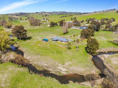 House For Sale - NSW - Adelong - 2729 - "Broken Creek"  (Image 2)