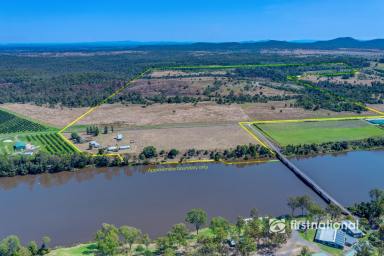 Livestock For Sale - QLD - Bucca - 4670 - CATTLE PROPERTY WITH KOLAN RIVER FRONTAGE  (Image 2)