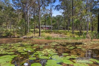 House For Sale - QLD - Pie Creek - 4570 - Acreage living with BONUS Infrastructure!  (Image 2)