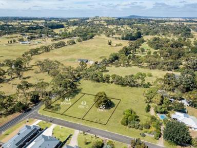 Residential Block For Sale - VIC - Hamilton - 3300 - Residential Building Block  (Image 2)