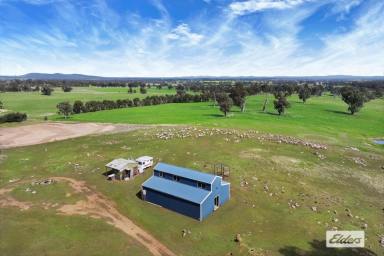 Residential Block Sold - VIC - Shelbourne - 3515 - SCENIC RURAL / RECREATION ALLOTMENT WITH DISTANT VIEWS  (Image 2)