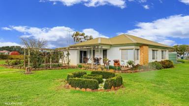 Livestock For Sale - VIC - Grassdale - 3302 - A sizable secure rainfall grazing asset in a sought after location- 35km SW Hamilton  (Image 2)