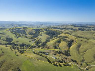 Lifestyle For Sale - NSW - Clarence Town - 2321 - Majestic Views on Land Ready to Make Your Own.  (Image 2)