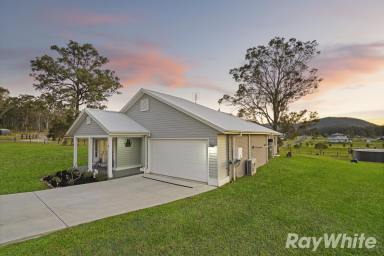 House Sold - NSW - Clarence Town - 2321 - Contemporary Elegance On Acres  (Image 2)