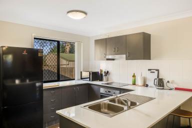 Unit Leased - QLD - East Toowoomba - 4350 - Neat & Sweet in East Toowoomba  (Image 2)