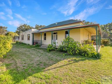 Lifestyle For Sale - NSW - Culcairn - 2660 - Outstanding small farm with Billabong Creek frontage  (Image 2)