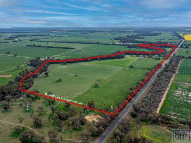 Lifestyle For Sale - NSW - Culcairn - 2660 - Outstanding small farm with Billabong Creek frontage  (Image 2)