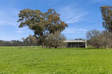 Mixed Farming Sold - VIC - Muskerry - 3557 - Superb River Country  (Image 2)