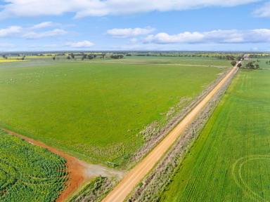 Mixed Farming Sold - VIC - Colbinabbin - 3559 - Prime 100 Acre Farming Land  (Image 2)