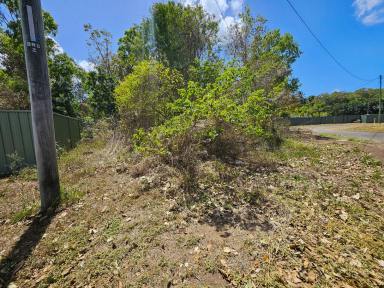 Residential Block For Sale - QLD - Cooktown - 4895 - 1 Acre Country Block  (Image 2)