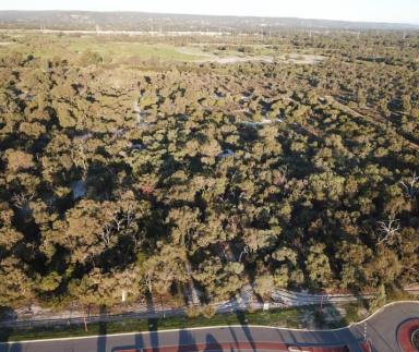 Residential Block Sold - WA - Southern River - 6110 - Large Lifestyle Lot with Approved Plan for Single Dwelling on Approx 10-acre  (Image 2)