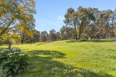 House For Sale - WA - Chidlow - 6556 - Dual Accommodation On Parkland 14 Acres  (Image 2)