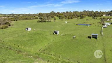 Acreage/Semi-rural For Sale - VIC - Hastings - 3915 - 4.2 Acres—Kickstart Your Rural Dream  (Image 2)