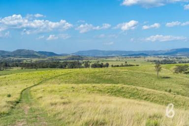 Other (Rural) For Sale - NSW - Singleton - 2330 - REMARKABLE VIEWS | THE ULTIMATE RURAL LIFESTYLE  (Image 2)