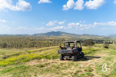 Other (Rural) For Sale - NSW - Singleton - 2330 - REMARKABLE VIEWS | THE ULTIMATE RURAL LIFESTYLE  (Image 2)