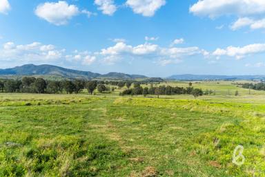 Other (Rural) For Sale - NSW - Singleton - 2330 - REMARKABLE VIEWS | THE ULTIMATE RURAL LIFESTYLE  (Image 2)