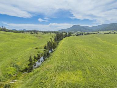 Lifestyle For Sale - NSW - Stanhope - 2335 - A Rural Lifestyle Dream  (Image 2)