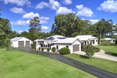 House Sold - QLD - Cooroy - 4563 - 4-Bedroom Oasis With Premium Amenities in Cooroy's Noosa Hinterland  (Image 2)