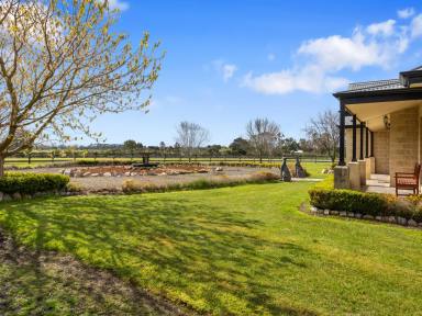 Acreage/Semi-rural For Sale - VIC - Alberton West - 3971 - Luxury Lifestyle Property with Picturesque Rural Views  (Image 2)