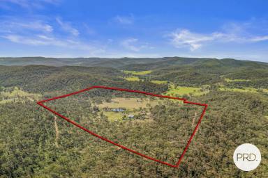 Lifestyle For Sale - NSW - Giants Creek - 2328 - **Price Improvement** Embrace the Ultimate Rural Retreat in Giants Creek!  (Image 2)