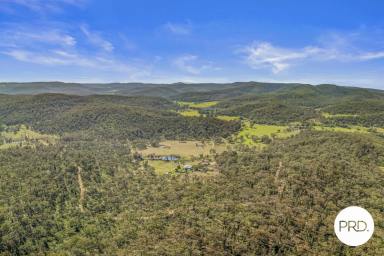 Lifestyle For Sale - NSW - Giants Creek - 2328 - **Price Improvement** Embrace the Ultimate Rural Retreat in Giants Creek!  (Image 2)