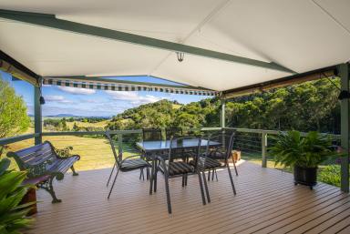 Lifestyle For Sale - NSW - Dorrigo - 2453 - Spectacular plateau views with a delightful cottage perched on 8 acres of land  (Image 2)