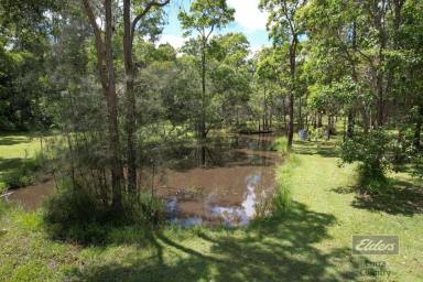 Residential Block For Sale - QLD - Glenwood - 4570 - CREATE YOUR IDEAL WEEKENDER OR DREAM HOME!  (Image 2)