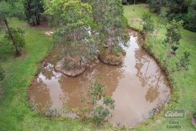 Residential Block For Sale - QLD - Glenwood - 4570 - IDYLLIC OFF-GRID OASIS!  (Image 2)