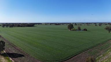 Cropping Auction - VIC - Wunghnu - 3635 - Dryland Cropping/Grazing Farm  (Image 2)