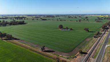 Cropping Auction - VIC - Wunghnu - 3635 - Dryland Cropping/Grazing Farm  (Image 2)