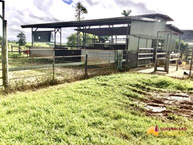 Mixed Farming For Sale - QLD - Utchee Creek - 4871 - Blue Ribbon Agricultural Land  (Image 2)