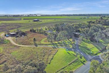 Residential Block Sold - NSW - Cowra - 2794 - 3ACRE BUILDING BLOCK WITH GREAT VIEWS AND A SHED!  (Image 2)