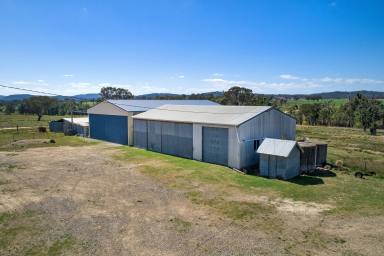 Other (Rural) For Sale - NSW - Bendemeer - 2355 - A LIFESTYLE RETEAT ON THE BANKS OF THE  MACDONALD  (Image 2)