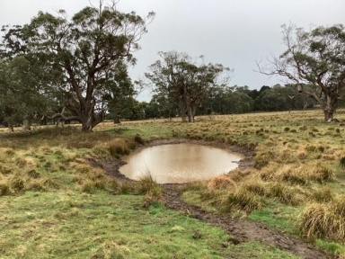 Other (Rural) For Sale - VIC - Bunding - 3342 - 33Ha (approx. 86 Acres); Vacant Land; Fenced Pasture; Views; Ballan Area  (Image 2)