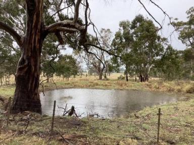 Other (Rural) For Sale - VIC - Bunding - 3342 - 33Ha (approx. 86 Acres); Vacant Land; Fenced Pasture; Views; Ballan Area  (Image 2)