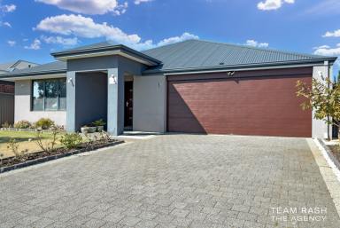 House For Sale - WA - Wellard - 6170 - 15 Dawn Street, Wellard WA 6170 - Modern Family Living in Sunrise Estate  (Image 2)