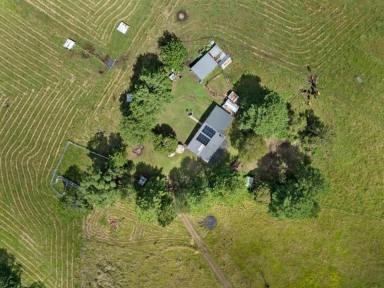 Lifestyle For Sale - NSW - Bonalbo - 2469 - MOTIVATED VENDOR  (Image 2)