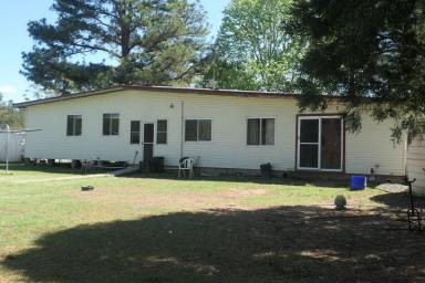 Lifestyle For Sale - NSW - Bonalbo - 2469 - PARADISE FOUND  (Image 2)