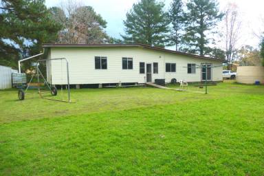 Lifestyle For Sale - NSW - Bonalbo - 2469 - HOME AMONGST THE BUNYAS  (Image 2)