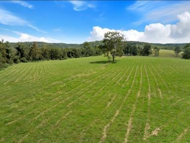 Lifestyle For Sale - NSW - Bonalbo - 2469 - PARADISE FOUND  (Image 2)