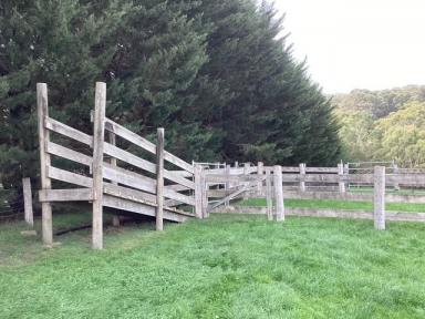 Other (Rural) For Sale - VIC - Korobeit - 3341 - 29.99Ha (approx. 74 acres); Picturesque Grazing Land; Fenced; Views  (Image 2)