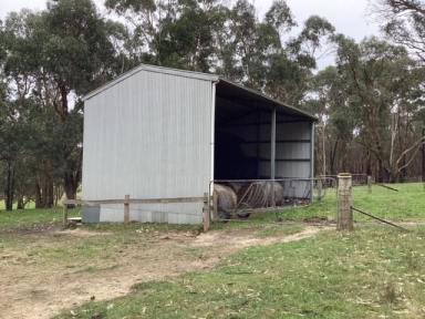 Other (Rural) For Sale - VIC - Korobeit - 3341 - 29.99Ha (approx. 74 acres); Picturesque Grazing Land; Fenced; Views  (Image 2)