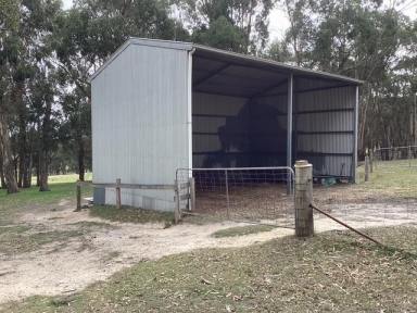 Other (Rural) For Sale - VIC - Korobeit - 3341 - 29.99Ha (approx. 74 acres); Picturesque Grazing Land; Fenced; Views  (Image 2)